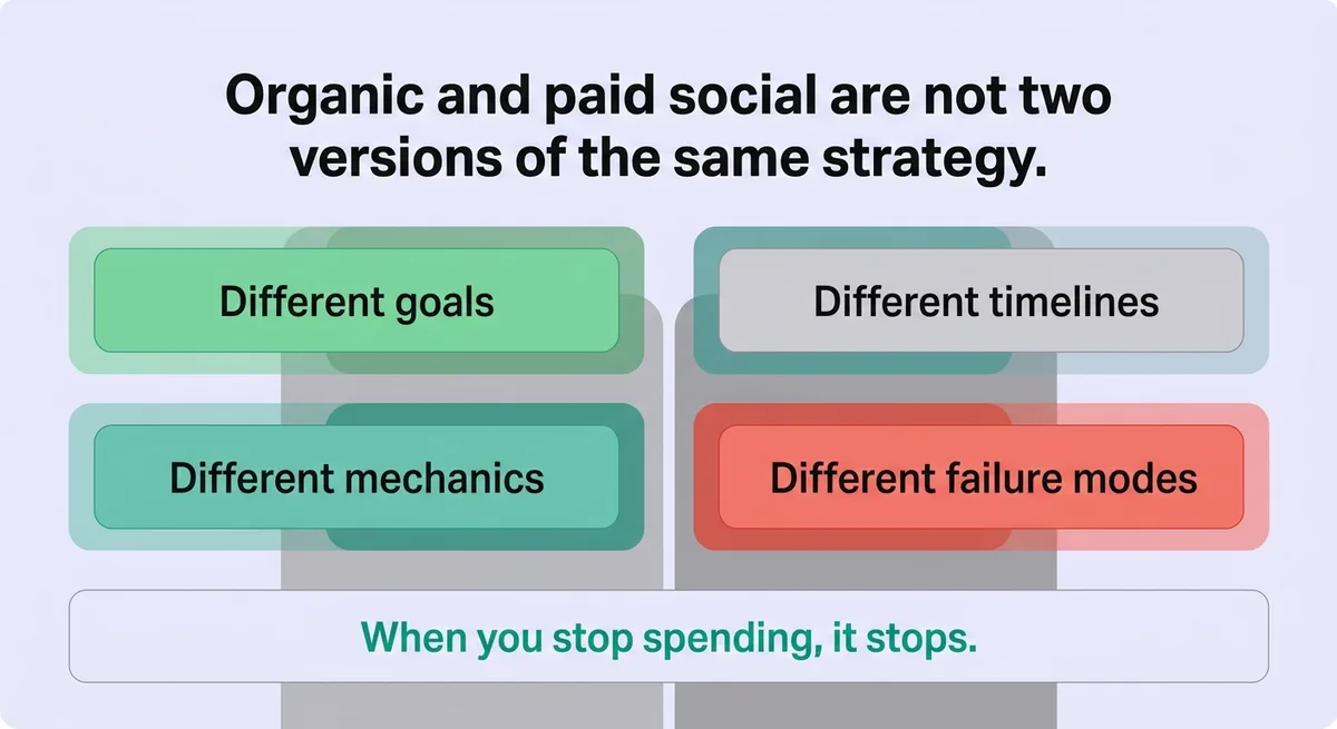 Organic vs Paid Social: A Side-by-Side Breakdown That Clarifies the Real Difference