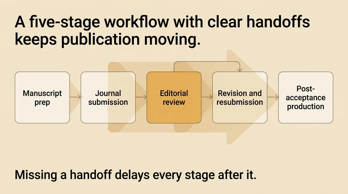 What Actually Happens During Editorial Review and Why Most Authors Misread It